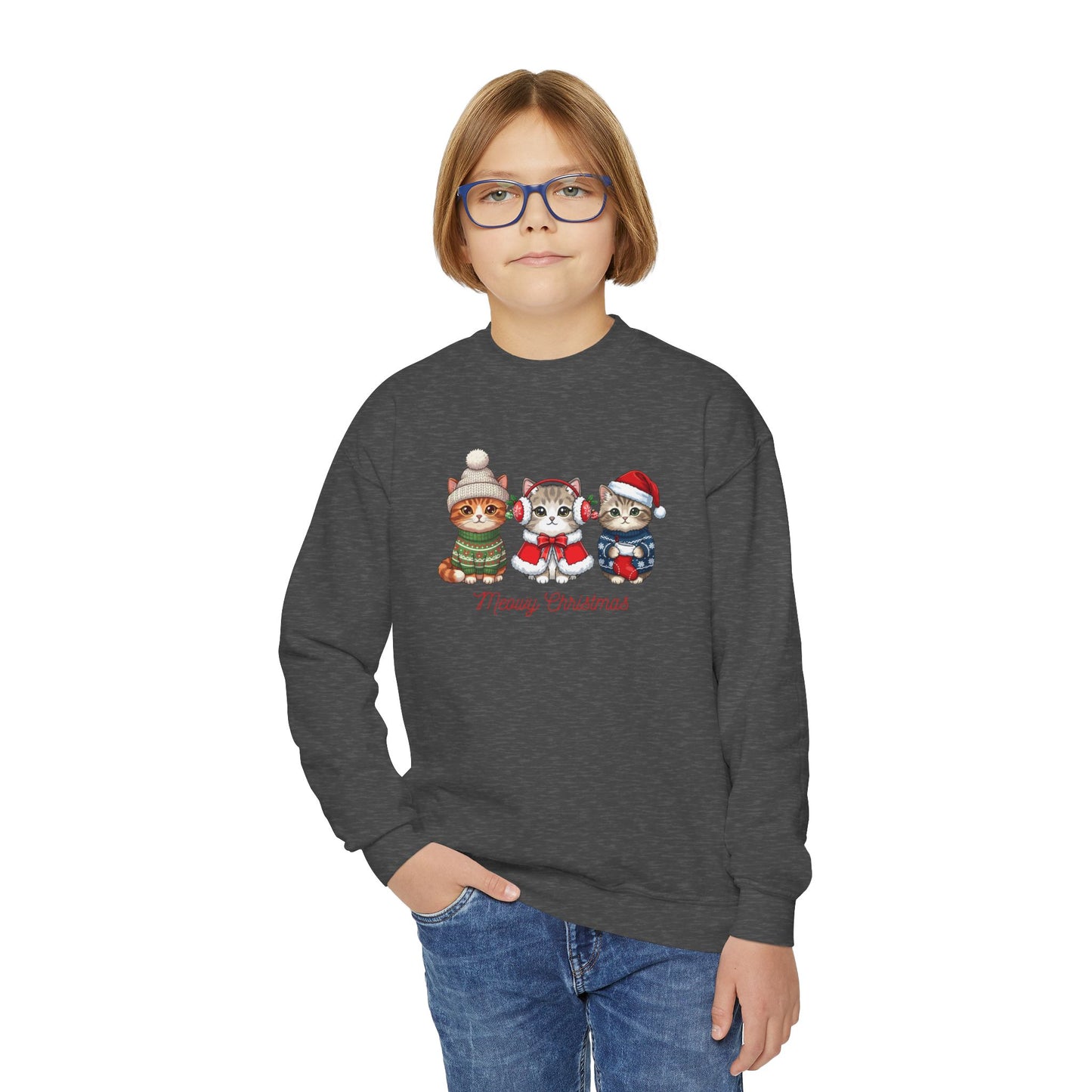 Youth Holiday Crewneck Sweatshirt — Cute Kittens in Winter Hats (Merry Christmas)