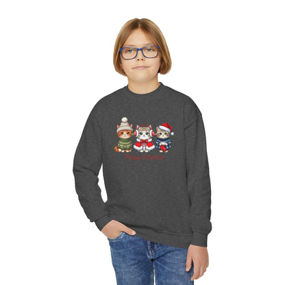 Youth Holiday Crewneck Sweatshirt — Cute Kittens in Winter Hats (Merry Christmas)