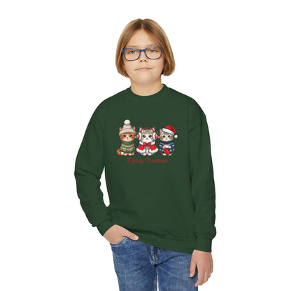 Youth Holiday Crewneck Sweatshirt — Cute Kittens in Winter Hats (Merry Christmas)